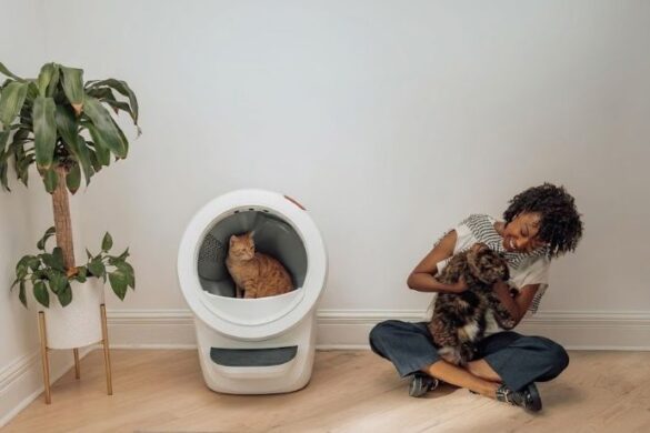 Best Cat Litter Boxes for Odor Control - Keep Your Home Fresh and Clean