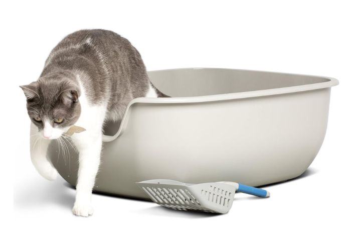 PetFusion BetterBox Non-Stick Litter Box