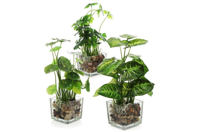 Plant Therapy and Nature-Inspired Gifts