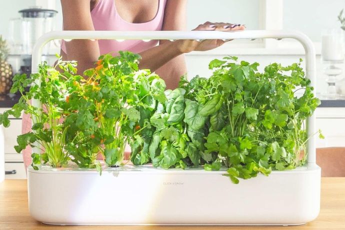 Smart Planters and Indoor Garden Systems